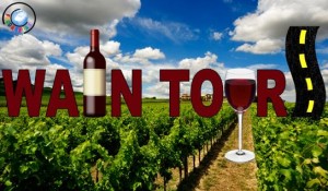 Wine Tour - #esperienzeinvacanza